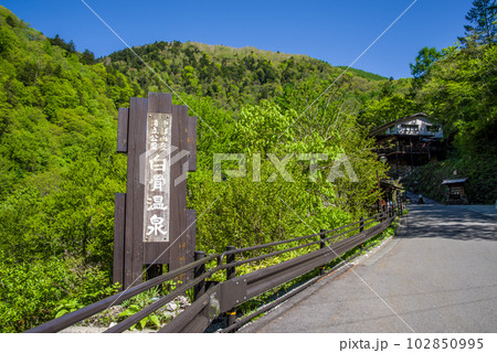 新緑シーズンの温泉地【信州白骨温泉】 102850995