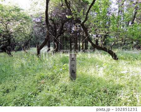 箕輪城跡　三の丸 102851231