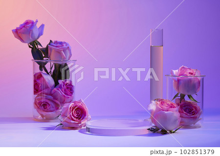 Several Roses filled inside two beakers, a test tube of liquid and round transparent podium. Rose (Rosa) essential oil can help protect sensitive skin cells 102851379