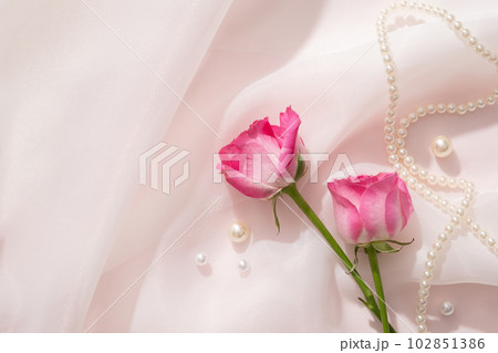 Against a white chiffon fabric background, Roses are decorated with pearls and pearl necklace. Rose (Rosa) essential oil has many beneficial properties 102851386