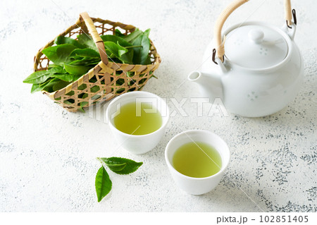 急須で淹れた緑茶 急須で淹れた緑茶 102851405