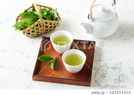 急須で淹れた緑茶 急須で淹れた緑茶 102851410