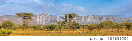 Savanna in the Awash National Park, Ethiopia Savanna in the Awash National Park, Ethiopia 102851592