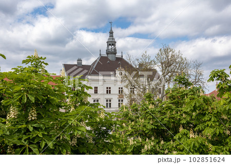 Town hall in Valtice, South Moravia, Czech Republic Town hall in Valtice, South Moravia, Czech Republic 102851624