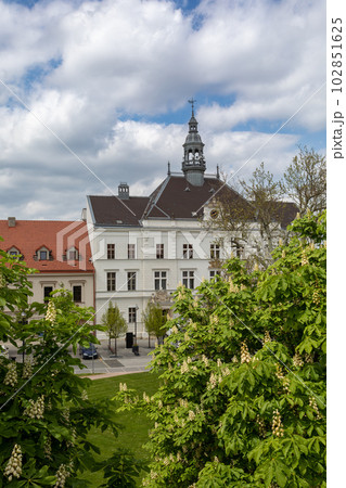 Town hall in Valtice, South Moravia, Czech Republic Town hall in Valtice, South Moravia, Czech Republic 102851625