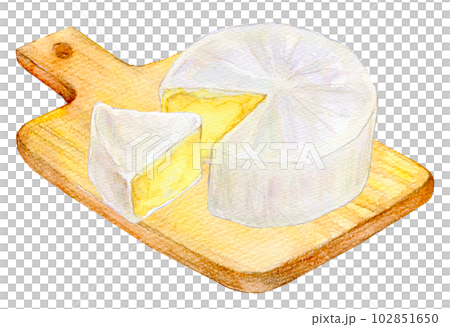 Camembert watercolor painting hand-drawn illustration watercolor illustration 102851650