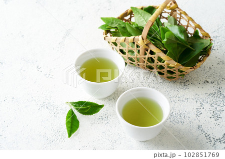 緑茶と摘みたての茶葉 102851769