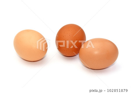 秋田県産、比内地鶏の卵 102851879