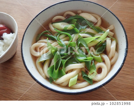 九条葱たっぷりのうどんと、梅干しご飯 九条葱たっぷりのうどんと、梅干しご飯 102851998