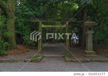 名古屋 熱田神宮 境内末社の楠之御前社 102852277