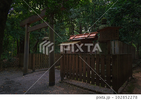 名古屋 熱田神宮 境内末社の楠之御前社 名古屋 熱田神宮 境内末社の楠之御前社 102852278