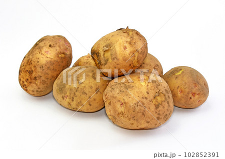 じゃがいも（キタアカリ） 102852391
