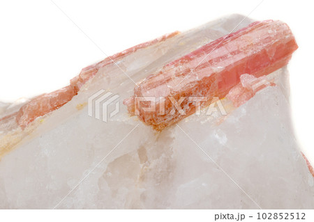 Macro mineral stone Tourmaline in the breed a white background Macro mineral stone Tourmaline in the breed a white background 102852512