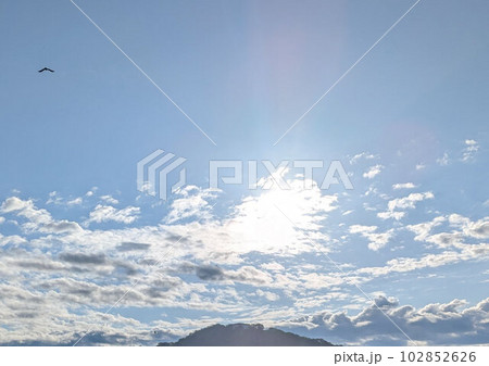 朝日と飛ぶ鳥 102852626