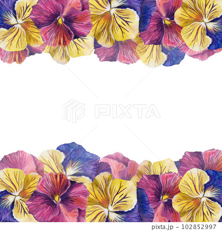 Frame of colored pansies. watercolor illustration. for postcards, packaging, bags, clothes, wedding decoration, stationery. 102852997