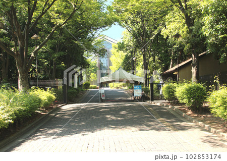 相愛大学南港キャンパス 相愛大学南港キャンパス 102853174