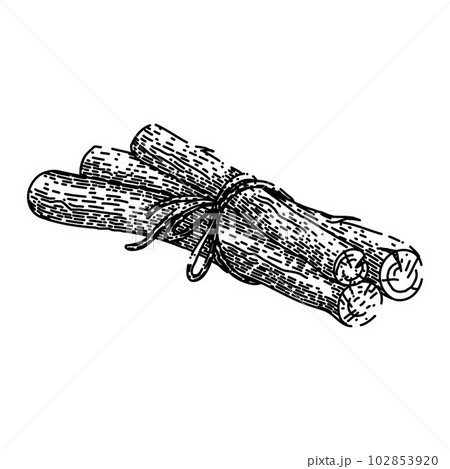 licorice health aromatic sketch hand drawn vector licorice health aromatic sketch hand drawn vector 102853920