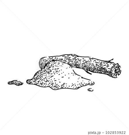 licorice food aromatic sketch hand drawn vector 102853922