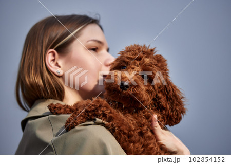 Close-up of a young blonde woman in a beige raincoat hugging her beloved red toy poodle. The girl and the dog love each other. Showing affection concept. 102854152