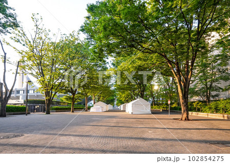イベント開催日の早朝　代々木公園ケヤキ並木 102854275