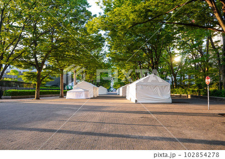 イベント開催日の早朝 代々木公園ケヤキ並木 イベント開催日の早朝 代々木公園ケヤキ並木 102854278