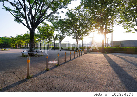 イベント開催日の早朝 代々木公園ケヤキ並木 イベント開催日の早朝 代々木公園ケヤキ並木 102854279