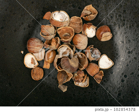 Spoiled Nuts, Mold on Nut Shells, Low Quality Toxic Products, Improper Storage, Spoiled Hazelnuts Isolated Spoiled Nuts, Mold on Nut Shells, Low Quality Toxic Products, Improper Storage, Spoiled Hazelnuts Isolated 102854378