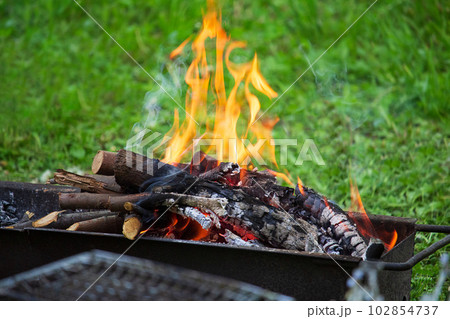 Fire on burning wood in barbecue grill on green grass. Rest, weekend, cook 102854737