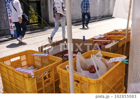 230517宮川朝市z108 102855083