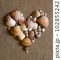 shell heart on sand 102855242