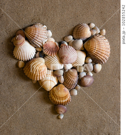 shell heart on sandの写真素材 [102855242] - PIXTA