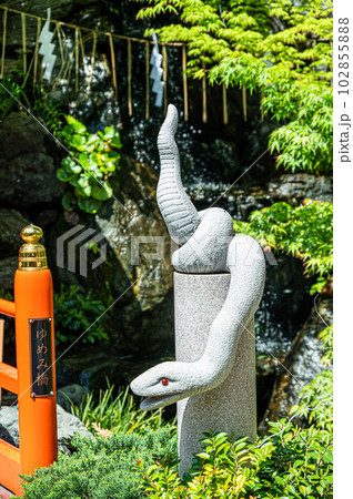 蛇窪神社の白蛇 蛇窪神社の白蛇 102855888