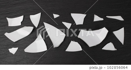 Broken Plate, White Ceramic Pieces, Smashed Bowl, Stress Concept, Porcelain Shards on Black 102856064