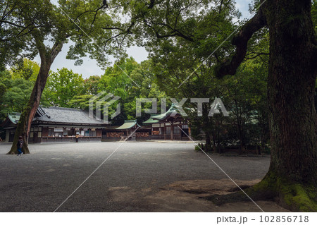 名古屋 熱田神宮 上知我麻神社の境内風景 102856718