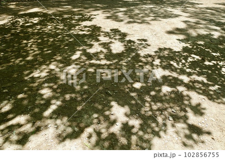 木漏れ日の影 地面の背景 木漏れ日の影 地面の背景 102856755