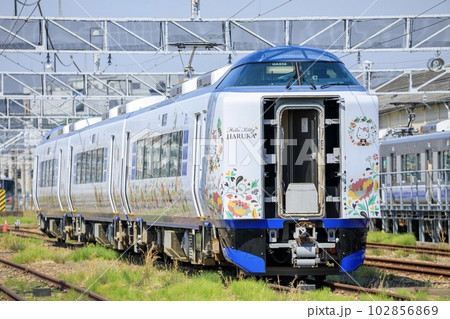 鳳駅の留置線に停まっている271系関空特急はるか 102856869