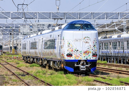 鳳駅の留置線に停まっている271系関空特急はるか 102856871