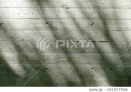 コンクリートの壁に映る木の影 102857086