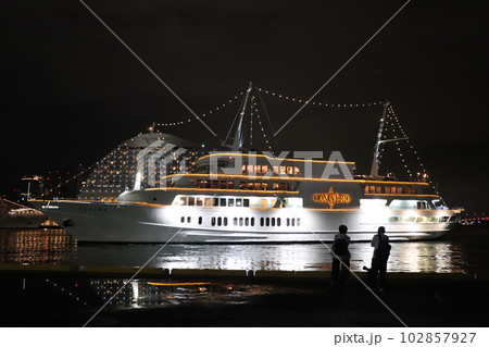 夜の海に浮かぶクルーズ船と観光客 夜の海に浮かぶクルーズ船と観光客 102857927