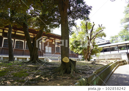 曹洞宗 大本山 總持寺 大僧堂 ～横浜市鶴見区～ 102858242