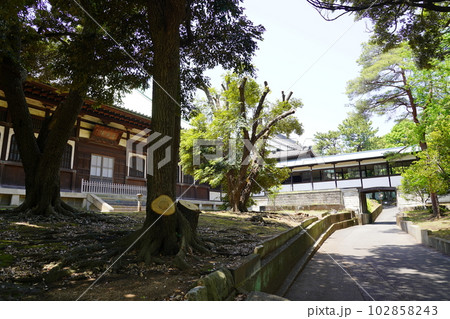 曹洞宗 大本山 總持寺 大僧堂 ~横浜市鶴見区~ 曹洞宗 大本山 總持寺 大僧堂 ~横浜市鶴見区~ 102858243