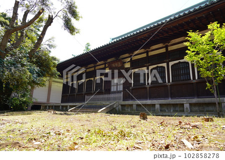 曹洞宗 大本山 總持寺 大僧堂 ~横浜市鶴見区~ 曹洞宗 大本山 總持寺 大僧堂 ~横浜市鶴見区~ 102858278