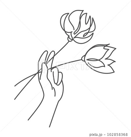 Hand holding tulips. Hand holding tulips. 102858368