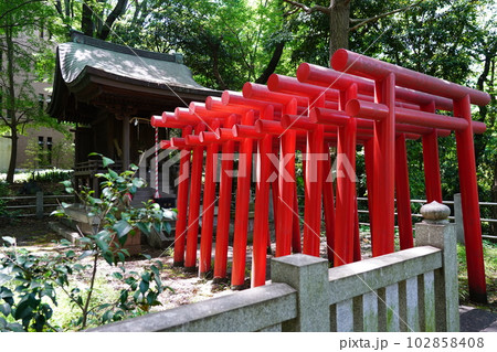 曹洞宗 大本山 總持寺 穴熊稲荷 ~横浜市鶴見区~ 曹洞宗 大本山 總持寺 穴熊稲荷 ~横浜市鶴見区~ 102858408