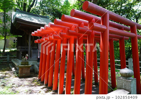 曹洞宗 大本山 總持寺 穴熊稲荷 ～横浜市鶴見区～ 102858409