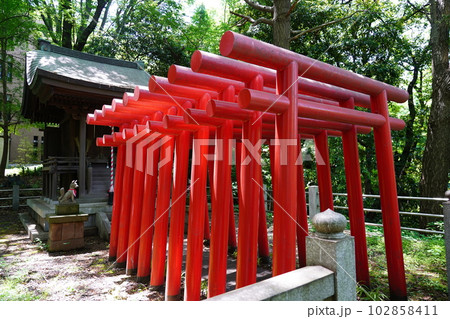 曹洞宗 大本山 總持寺 穴熊稲荷 ～横浜市鶴見区～ 102858411