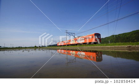 オレンジタヌキ近江鉄道 102858414