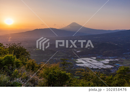 （静岡県）箱根西麓　丹那盆地の水田と富士山夕景 102858476