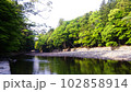 五十鈴川/三重県  102858914