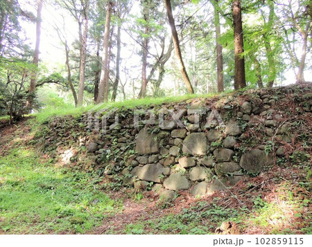 箕輪城跡 三の丸の石垣 箕輪城跡 三の丸の石垣 102859115